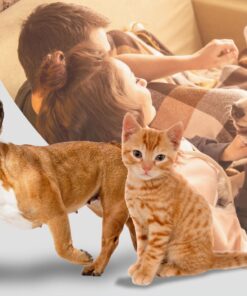 Seguridad y Cuidados Protegidos : Premium